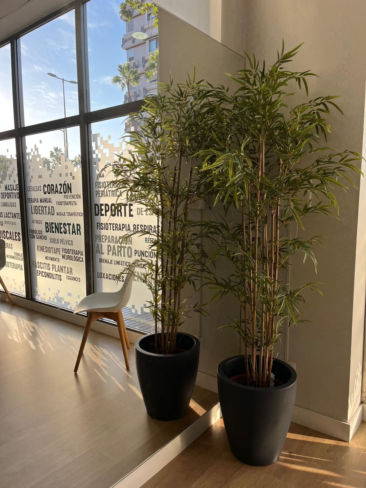 Ven a nuestra clínica de fisioterapia